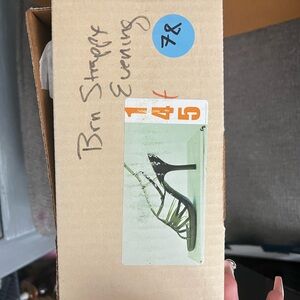 Black Strappy Evening Heels